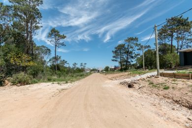 Venta, Alquiler Temporal  Maldonado Punta Colorada