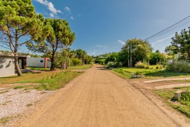 Venta, Alquiler Temporal  Maldonado Punta Colorada