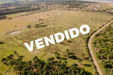 Venta  Maldonado Punta Negra