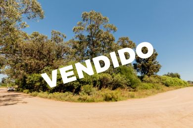 Venta  Maldonado Punta Negra
