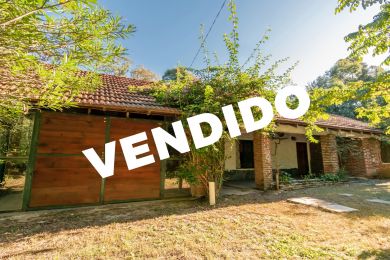 Venta  Maldonado San Francisco