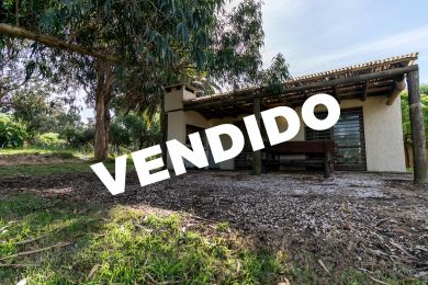 Venta  Maldonado Punta Fra