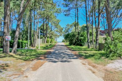 Alquiler Temporal  Maldonado San Francisco
