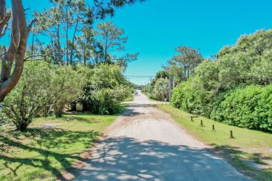 Alquiler Temporal  Maldonado San Francisco
