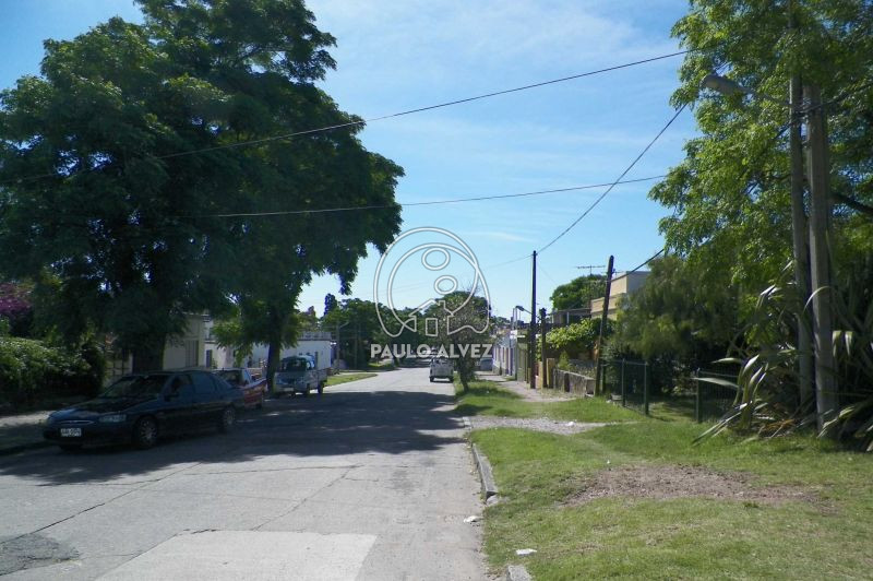Entorno