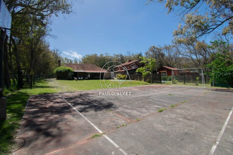 cancha de futbol 