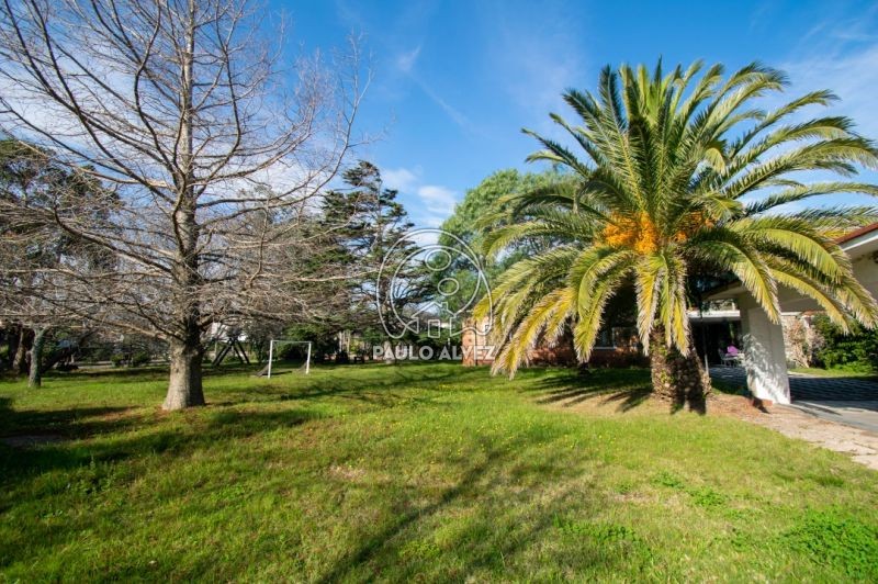 Jardín