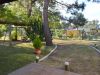 Vista al frente