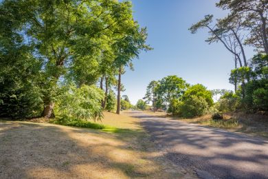 Alquiler Temporal  Maldonado Piri�polis