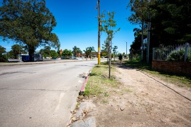 Venta  Maldonado Piripolis