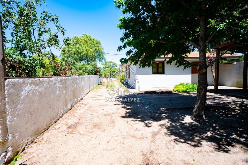 Jardín 
