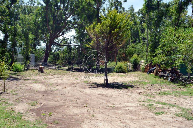 Jardín