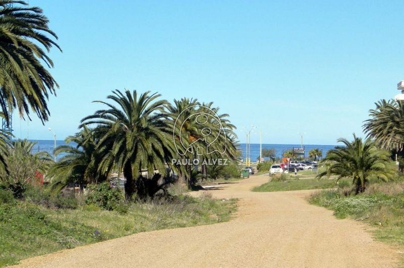 Distancia al mar 