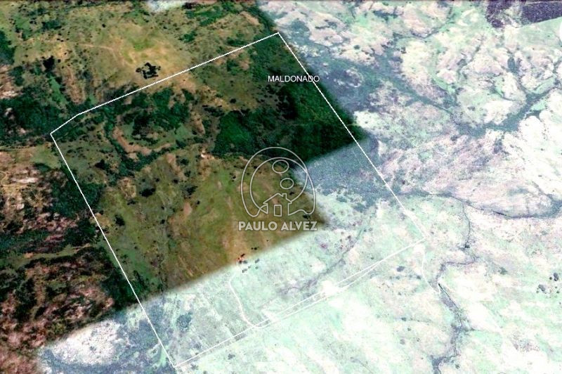 Vista satelital