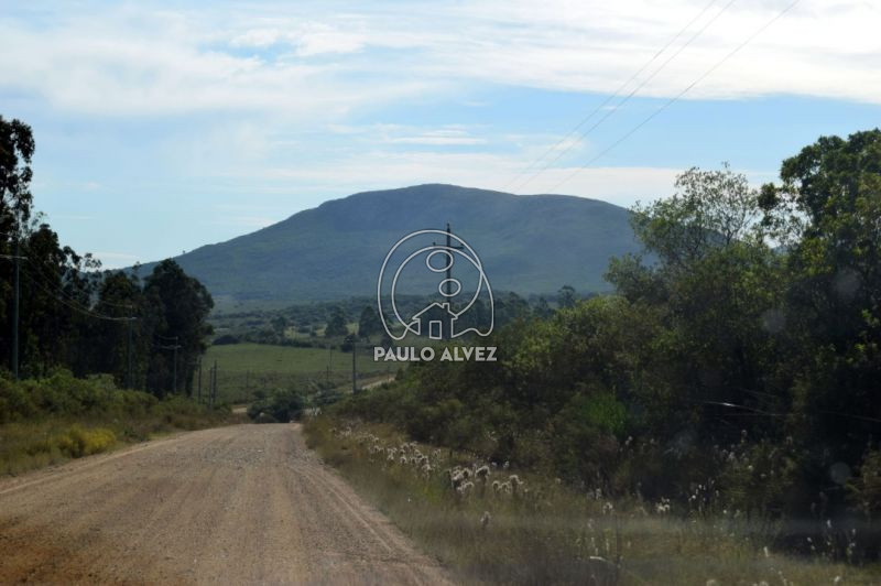 Camino de ingreso