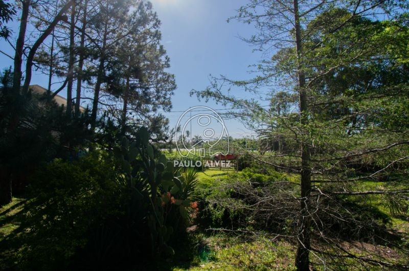 vista